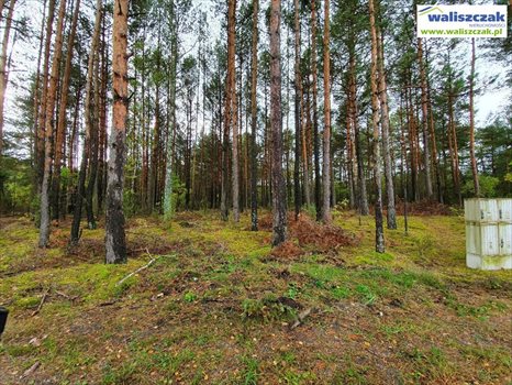 Działka budowlana na sprzedaż Ostrów 1 306m2 Foto 5