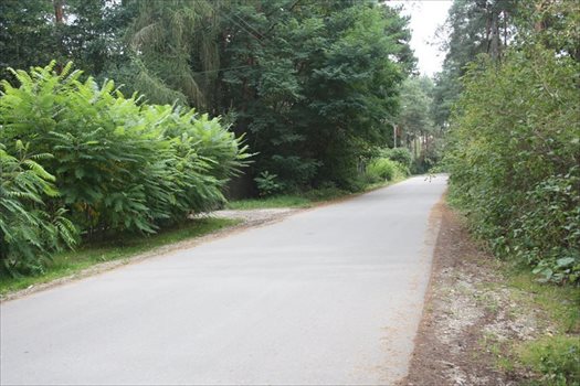 Działka leśna z prawem budowy na sprzedaż Zalesie Górne, Przebudzenia Wiosny 1 982m2 Foto 3