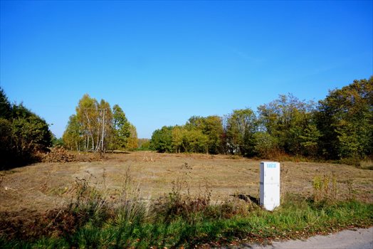 Działka budowlana na sprzedaż Jastrzębnik 1 500m2 Foto 5