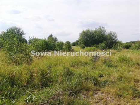 Działka budowlana na sprzedaż Wałbrzych, Poniatów 1 653m2 Foto 1