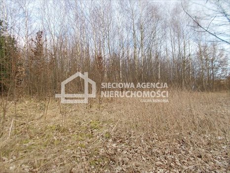 Działka budowlana na sprzedaż Łapalice 2 209m2 Foto 2
