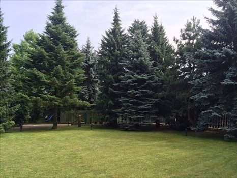 Dom na wynajem Janki, Aleja Krakowska 16 250m2 Foto 6