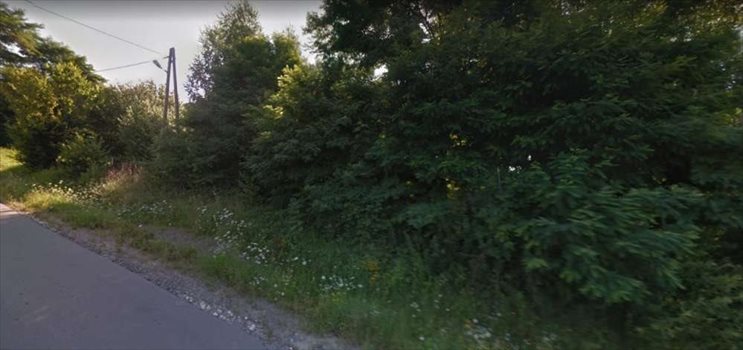 Działka budowlana na sprzedaż Wielka Wieś 2 995m2 Foto 2