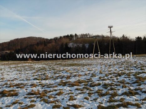 Działka budowlana na sprzedaż Skrzydlna 4 600m2 Foto 3
