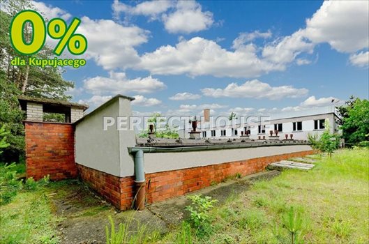 Lokal użytkowy na sprzedaż Zbrudzewo 1 766m2 Foto 4