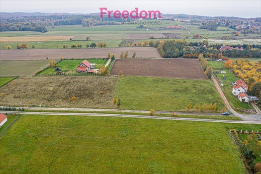 Działka budowlana na sprzedaż Łęcze 5 001m2 Foto 3