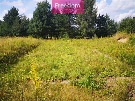 Działka budowlana na sprzedaż Orzechowo 25 000m2 Foto 10