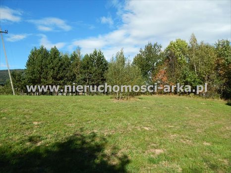 Działka budowlana na sprzedaż Skrzydlna 4 500m2 Foto 6