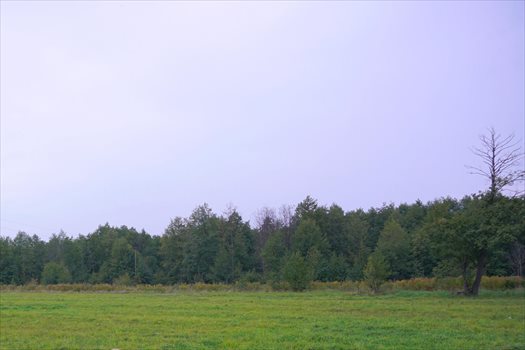 Działka budowlana na sprzedaż Jaktorów 1 258m2 Foto 1