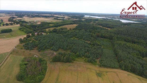 Działka inna na sprzedaż Idzbark 92 600m2 Foto 4