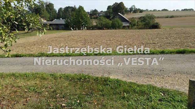 Działka inna na sprzedaż Jastrzębie-Zdrój, Szeroka 1 030m2 Foto 5