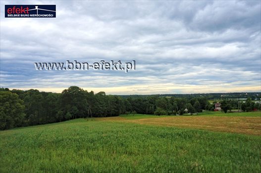Działka budowlana na sprzedaż Iłownica 4 200m2 Foto 4