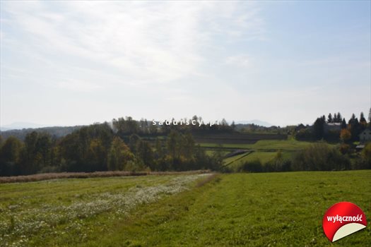 Działka budowlana na sprzedaż Grajów 3 700m2 Foto 6