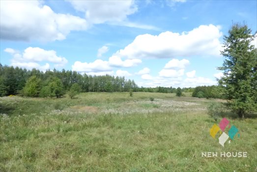 Działka inwestycyjna na sprzedaż Ramsowo 40 004m2 Foto 7