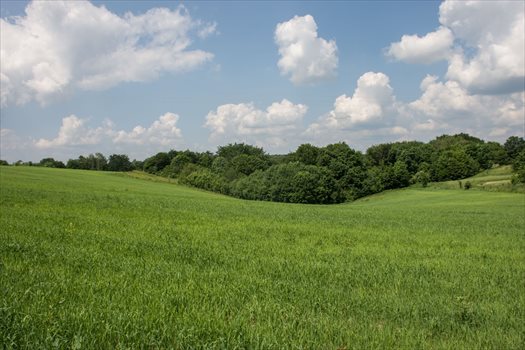 Działka budowlana na sprzedaż Będkowice, Długa 96 1 646m2 Foto 7