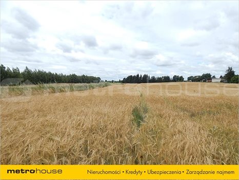 Działka inna na sprzedaż Staw, Chełm 17 400m2 Foto 3
