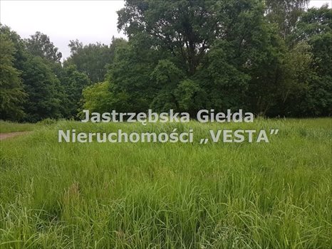 Działka inna na sprzedaż Jastrzębie-Zdrój 1 410m2 Foto 6