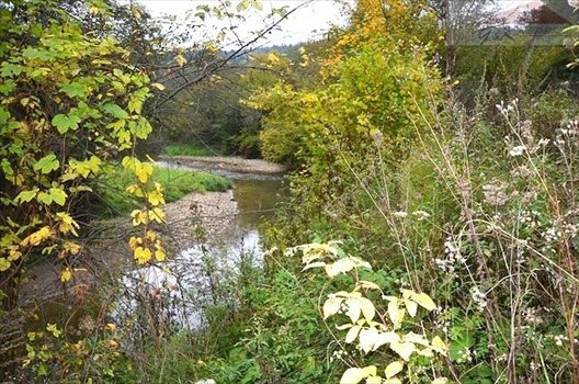 Działka rekreacyjna na sprzedaż Rybotycze 1 400m2 Foto 7