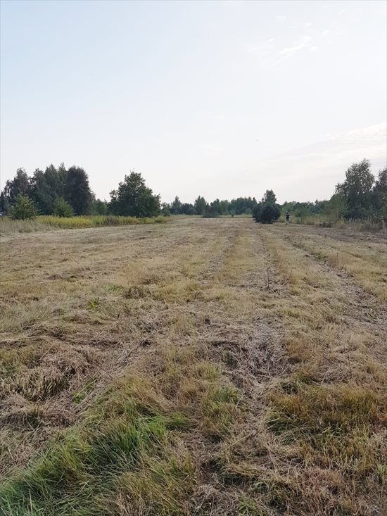 Działka budowlana na sprzedaż Słupno 7 100m2 Foto 5