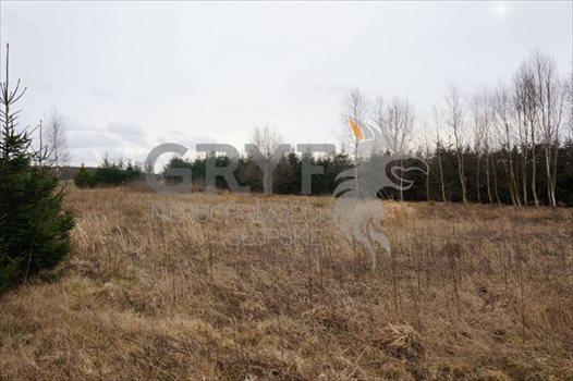 Działka inna na sprzedaż Wielichowo 5 600m2 Foto 5