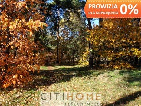 Działka budowlana na sprzedaż Józefów, Wiązowska 1 850m2 Foto 4