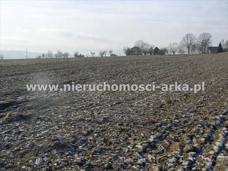 Działka budowlana na sprzedaż Męcina 5 800m2 Foto 4