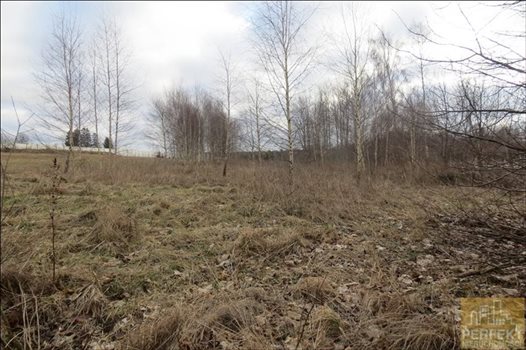 Działka inna na sprzedaż Kabikiejmy Dolne, Wieś, Kabikiejmy Dolne 5 000m2 Foto 3