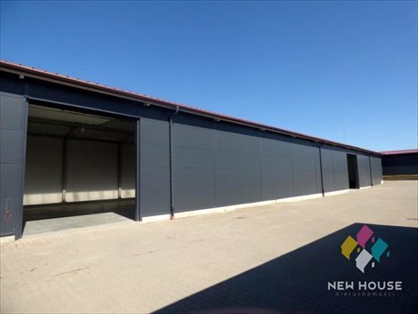 Lokal użytkowy na wynajem Dorotowo 800m2 Foto 3
