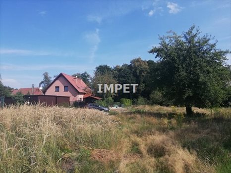 Działka inna na sprzedaż Łagów 4 095m2 Foto 4