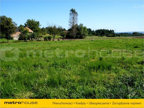 Działka inna na sprzedaż Kielanówka, Boguchwała 1 000m2 Foto 3