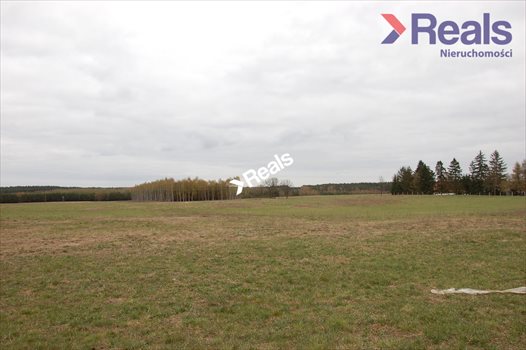 Działka rolna na sprzedaż Drzonowo Wałeckie 280 000m2 Foto 5