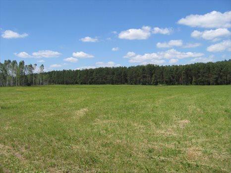 Działka rolna na sprzedaż Warkały 16 606m2 Foto 1