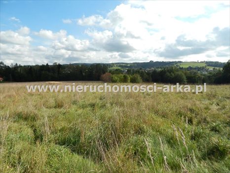 Działka inna na sprzedaż Rabka-Zdrój 3 000m2 Foto 2