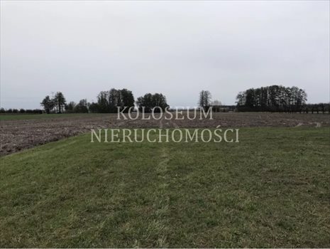 Dom na sprzedaż Głowno 120m2 Foto 5