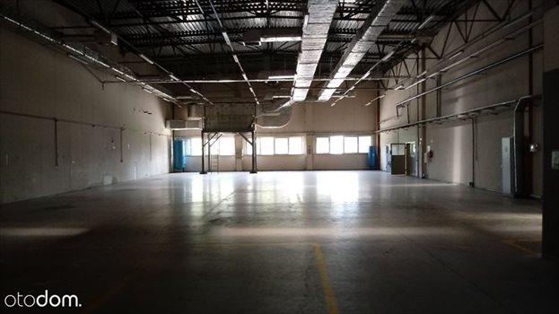 Lokal użytkowy na wynajem BEZPOSRENIO - Magazyn Białystok 2700 m2 - wys. 11m 2 700m2 Foto 3