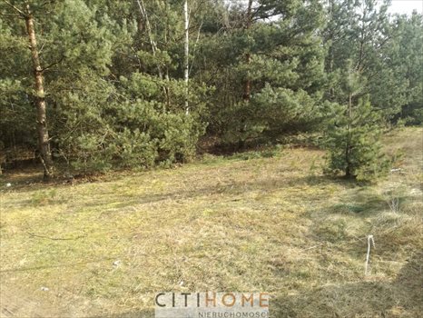 Działka inna na sprzedaż Otwock, Krecia 1 133m2 Foto 3