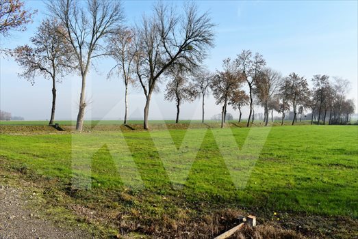 Działka budowlana na sprzedaż Żernica 21 000m2 Foto 3