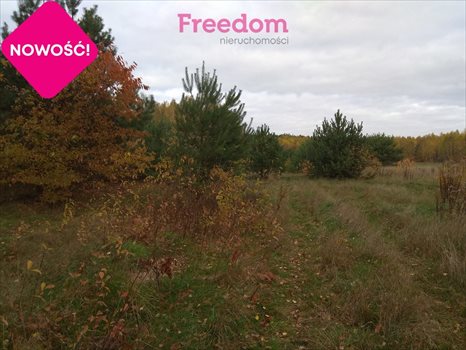 Dom na sprzedaż Tuszyn, Roberta Kocha 89m2 Foto 6