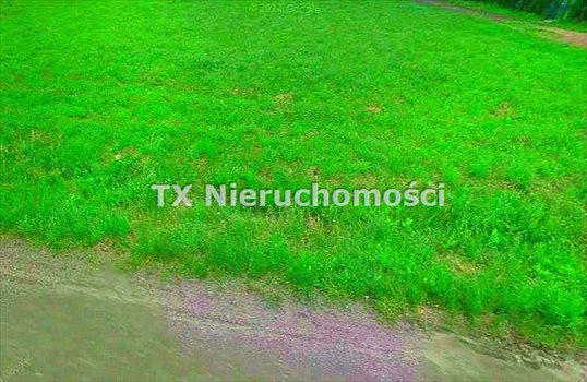 Działka budowlana na sprzedaż Gliwice, Brzezinka 940m2 Foto 2
