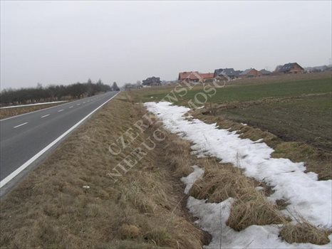 Działka inna na sprzedaż Gliwice, Brzezinka 5 591m2 Foto 4