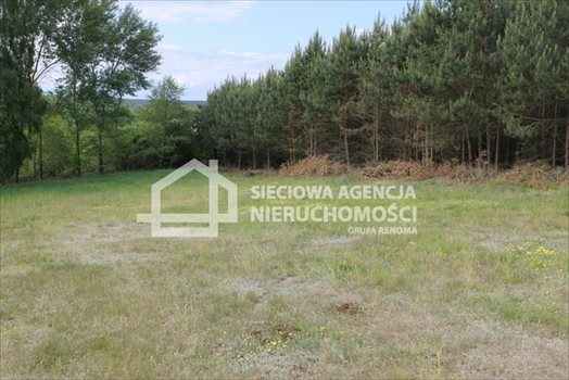 Działka budowlana na sprzedaż Lubowidz 1 003m2 Foto 5
