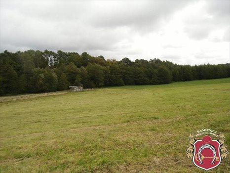 Działka budowlana na sprzedaż Donimierz, Otalerzyńska 30 333m2 Foto 1