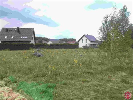 Działka budowlana na sprzedaż Bojano, Jana Chrzciciela 1 307m2 Foto 3