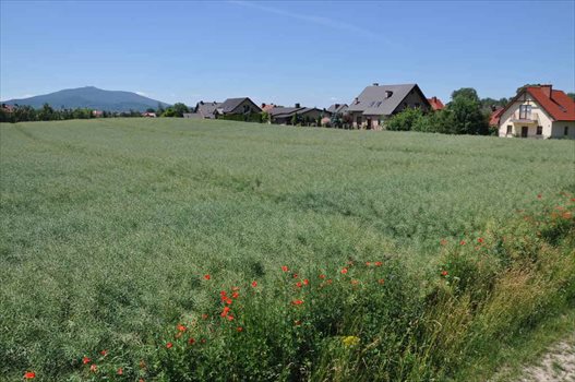 Działka budowlana na sprzedaż Rogów Sobócki, Pogodna 1 154m2 Foto 5