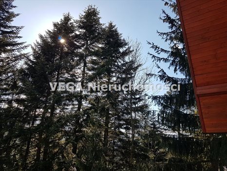 Mieszkanie trzypokojowe na sprzedaż Kościelisko 81m2 Foto 5