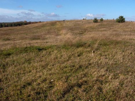 Działka inna na sprzedaż Nowa Wieś Przywidzka, Roztoka, Platynowa 1 007m2 Foto 4