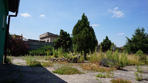 Dom na sprzedaż Daszewice, Szkolna 105m2 Foto 10