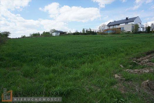 Działka budowlana na sprzedaż Cianowice Duże 4 006m2 Foto 9
