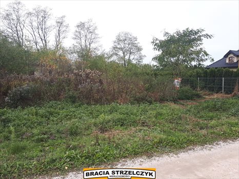 Działka budowlana na sprzedaż Wola Krakowiańska 1 425m2 Foto 4