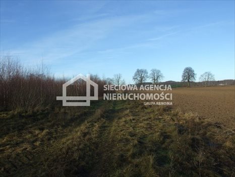 Działka budowlana na sprzedaż Tokary 1 444m2 Foto 3